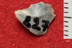 827s