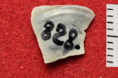 828s