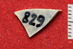 829s