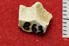 863s
