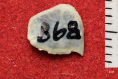 868s