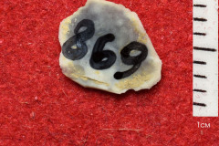 869s