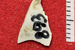 893s
