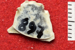 897s
