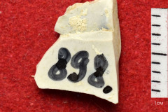 898s