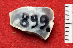 899s