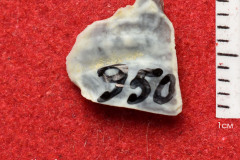 950s