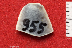 955s