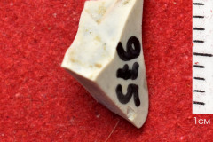 975s