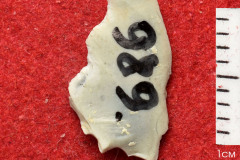 989s