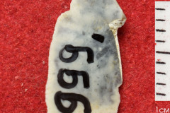 999s