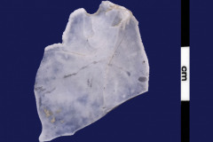 152-123