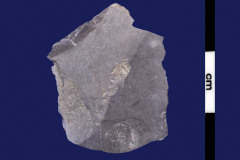 152-206