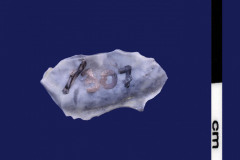 152-307