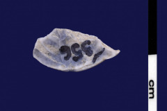 152-356