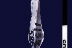 152-586