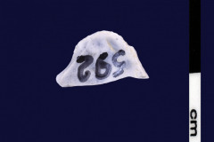 152-592