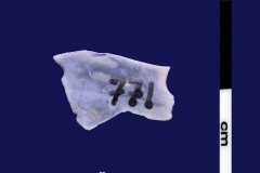 152-771