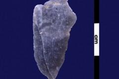 152-909