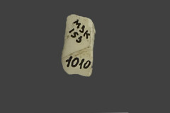 1010