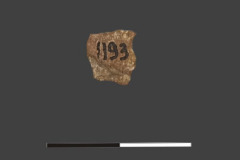 1193