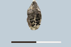 153-195