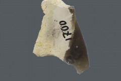 230