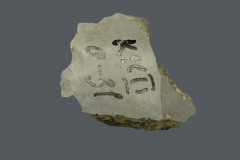 251