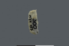300