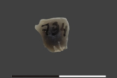 794