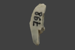 798