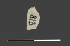 813