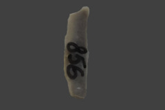856