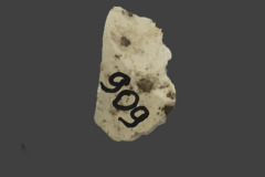 909