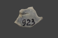 923