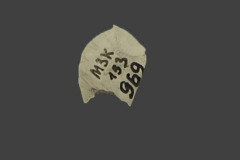 969
