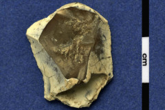 164-231
