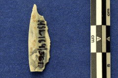 164-361
