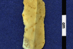 164-40