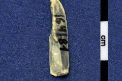 164-81