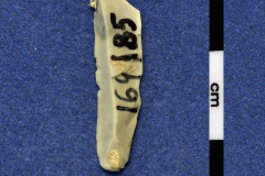 164-85