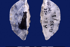 170-54