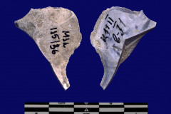 185-36