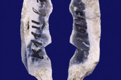 185-49