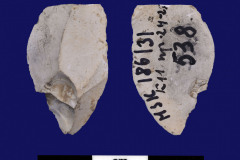 186-31
