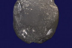 190-42