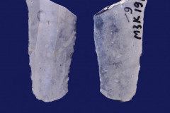 191-9