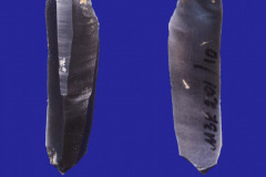 201-10