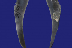 201-15