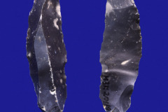 201-19
